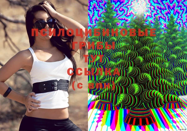 винт Абинск